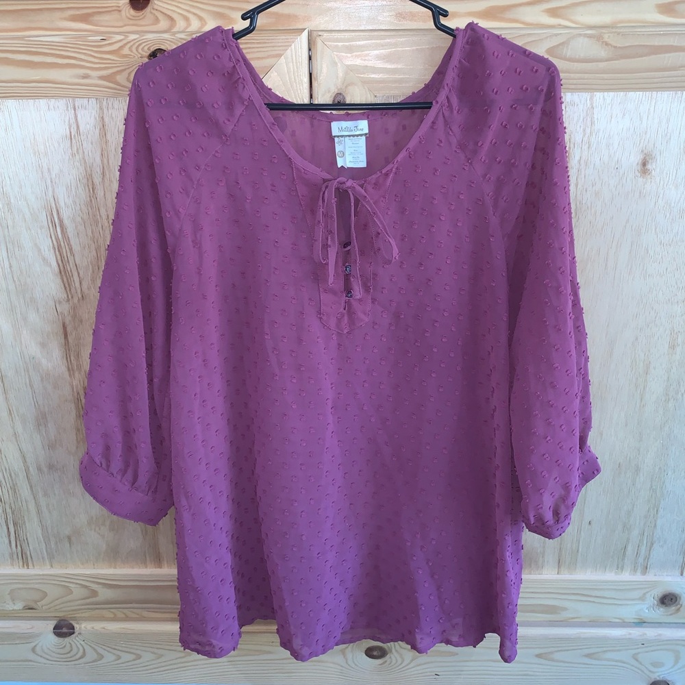 Matilda Jane shear Swiss dot blouse shirt size M